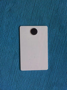 Carnival Cruise Light Card® card key switch activator